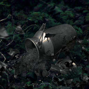 Бидоны (Акустика)