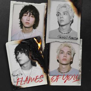 FLAMES OF YOU