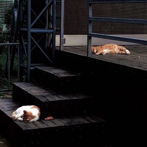 25：61(Prod EVOMUSIC&知晏）