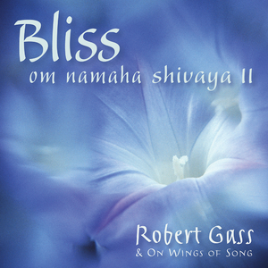 Bliss: Om Namah Shivaya II