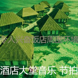 优美酒店酒廊器乐