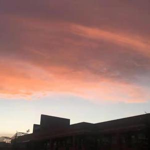 故人泪（cover麦小兜）