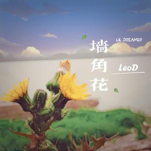 墙角花（Lil Dreamer）