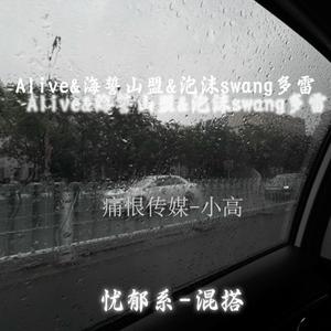 Alive&海誓山盟&泡沫swang多雷（remix版）