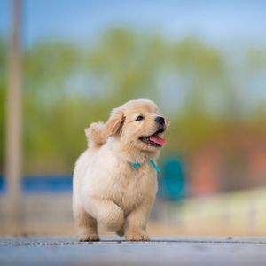 我是不是你的最爱