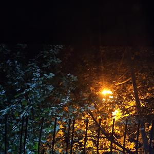 summer（Prod.by Frupie）