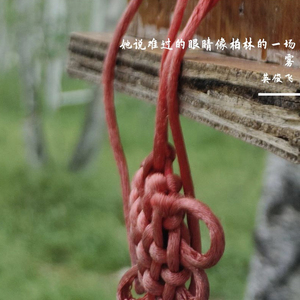 她说难过的眼睛像柏林的一场雾 (伴奏)