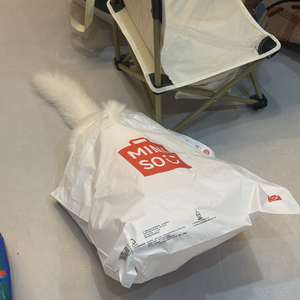 《交换秘密，未说爱你》