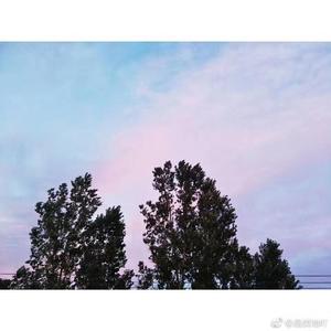 你的酒馆对我打了烊