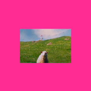 [free] iloveyouihateyou Pi'erre Bourne type beat