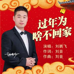 过年为啥不回家