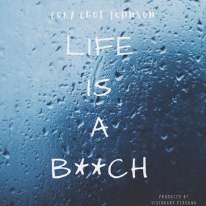 Life Is A B***h