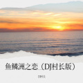 鱼鳞洲之恋 (DJ片段版)