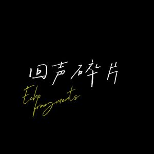 回声碎片
