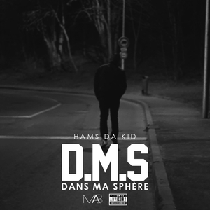 D.M.S (Dans ma sphère)