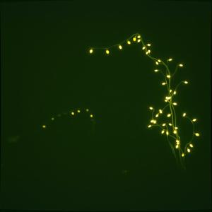 Gölgende Saklı Değersizlik by @ozdekifarkindalik