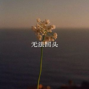 无法回头