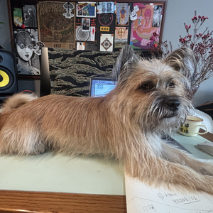 别抢我的鸭蛋黄