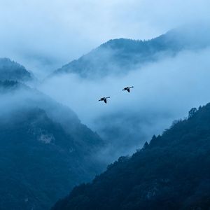再见深圳
