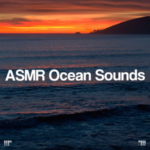 大海之声深睡眠