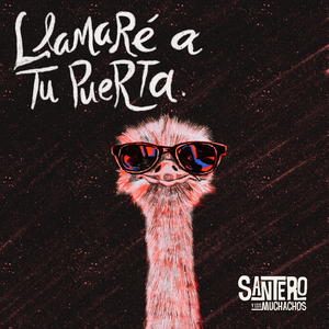 Llamaré a tu puerta