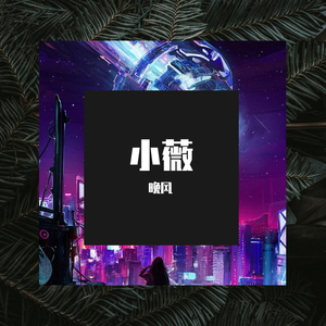 小薇-小薇