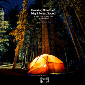 당신을 위한 풀벌레와 새들의 노래