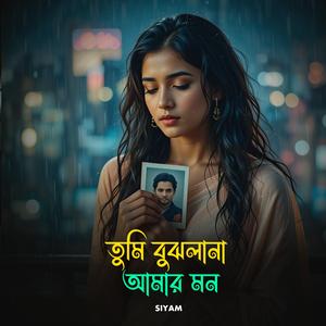 তুমি বুঝলানা আমার মন