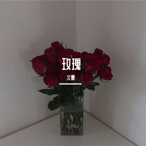 玫瑰（翻自 贰佰）