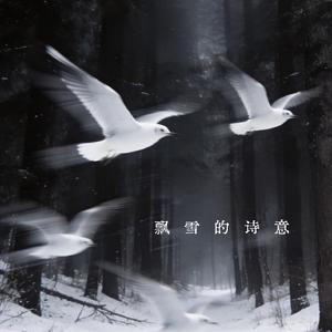 飘雪的诗意 (伴奏)