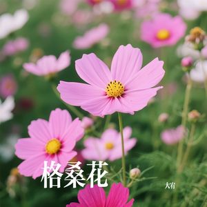格桑花