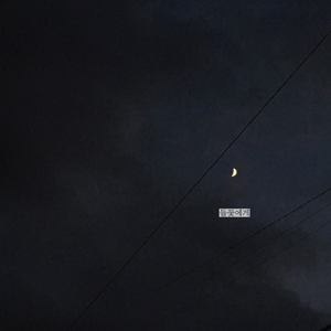 들꽃에게 (feat. 유용호)