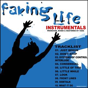 Systems of Control Interlude