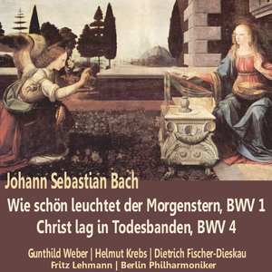 Christ lag in Todesbanden, BWV 4: IV. Verse III, "Jesus Christus, Gottes Sohn"