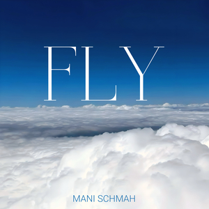 Fly