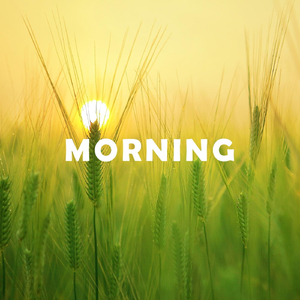 Morning