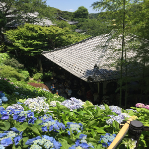 私の中の何かが始まる