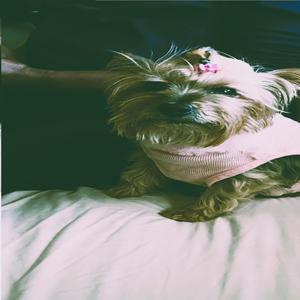 to you, and your demise