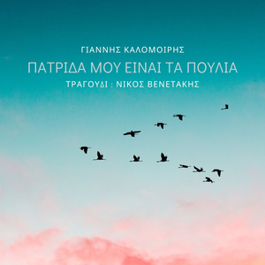 Πατρίδα μου είναι τα πουλιά