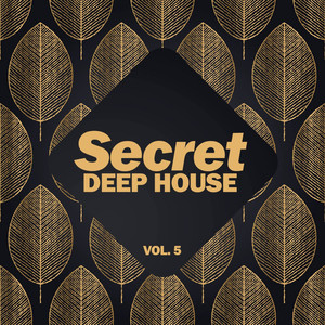 Mistique (Deep Bass Mix)