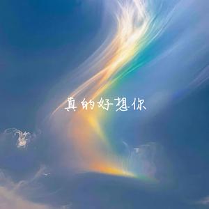 真的好想你 (烟嗓版)