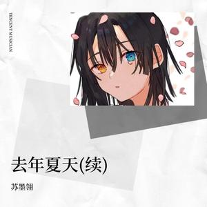 去年夏天(续)