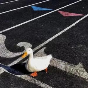 Rihanna-Diamonds（Muzh Remix）