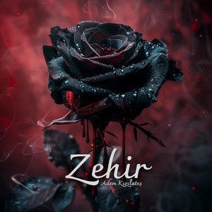 Zehir