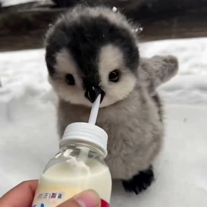 brooklynbloodpop (slowed + reverb)