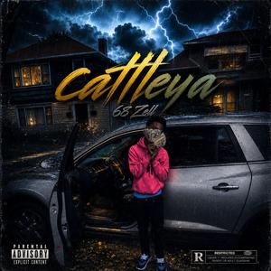 Cattleya