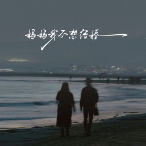 妈妈我不想结婚了•2025