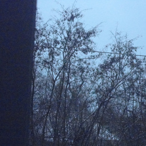 растворяются легенды