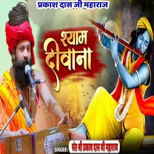 Vrindavan Mein Hukum Chale Barsane Wali Ka