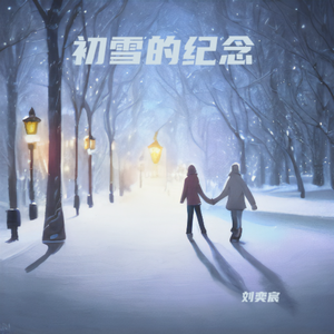 初雪的纪念